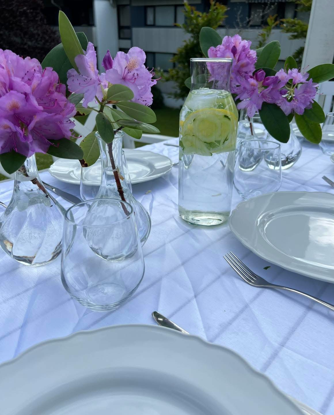 Sommerfest for beboere og medlemmer